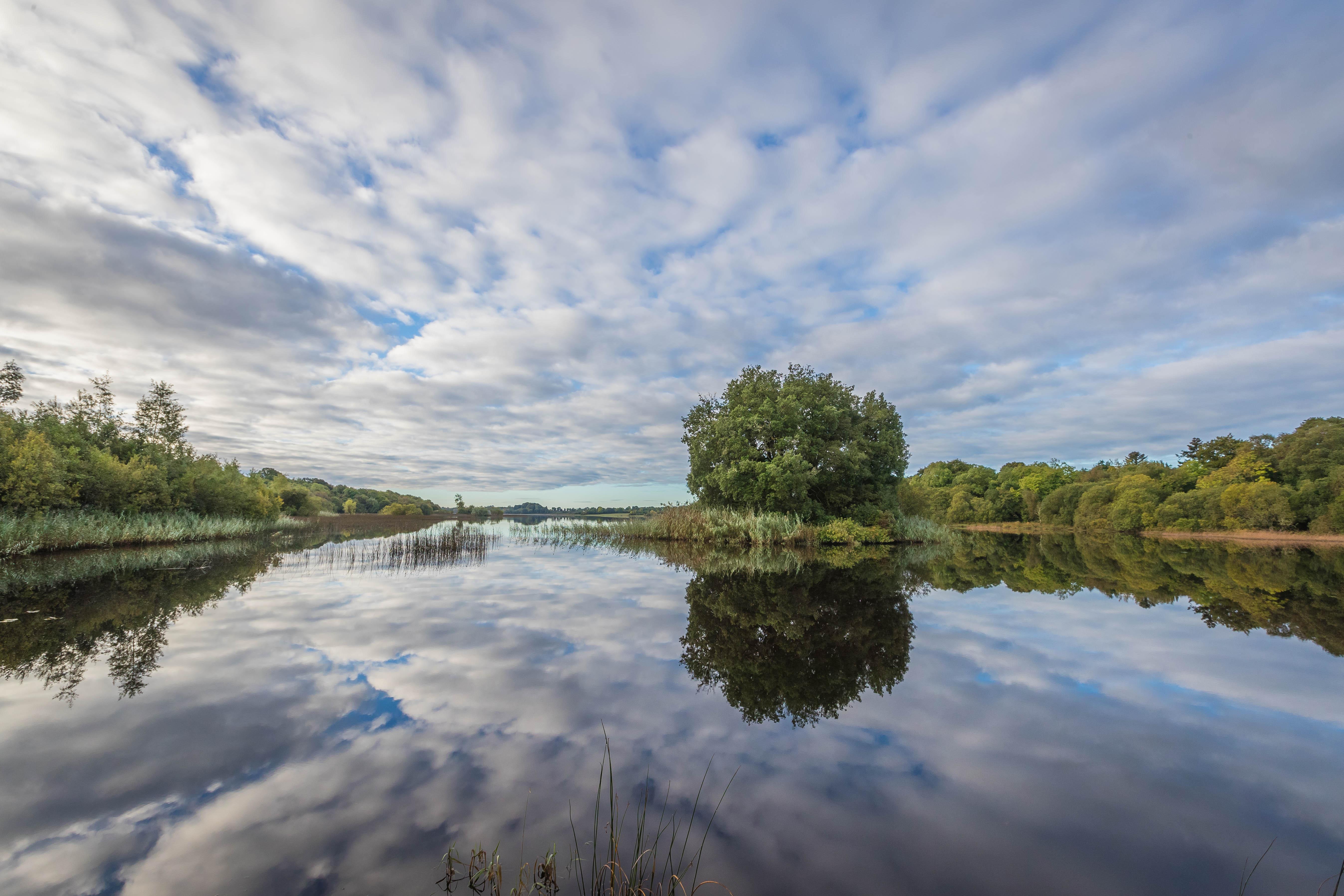 Lough Rynn Castle Hotel Mohill Екстериор снимка